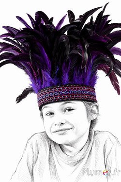 Kinder veren tooi - 50 veren - zwart-violet